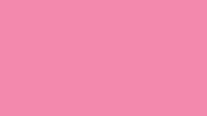 K2514sachet pink