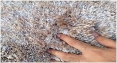 Tufted Polyester High pile Shaggy Rugs
