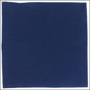 Printed Cotton Table Cloth with 8 Solid Napkin Set Stock
